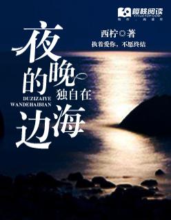 独自在夜晚的海边是一部双女主电影吗