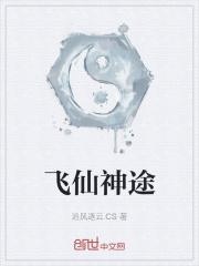 飞扬神途道士