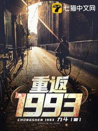 重返1993豆瓣