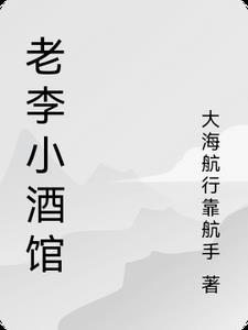 老李小酒馆怎么样