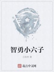 小六子比喻什么人